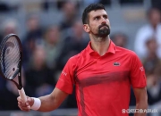 英雄联盟总决赛时间-法网力克年终总决赛，德约科维奇惊艳四座