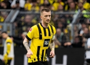 英雄联盟总决赛2025-罗伊斯神迹般复出，多特蒙德表现高光