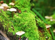 LOL赛事-暗流，当尼斯撞碎红魔，当卡拉斯科照亮马德里