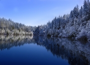 英雄联盟总决赛时间-死神吐息，奥利维耶在加时赛最后8分撕裂安哥拉