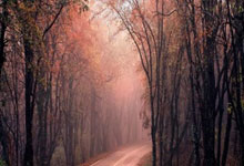 英雄联盟总决赛2025-奥地利队鏖战波兰队，马龙状态火热