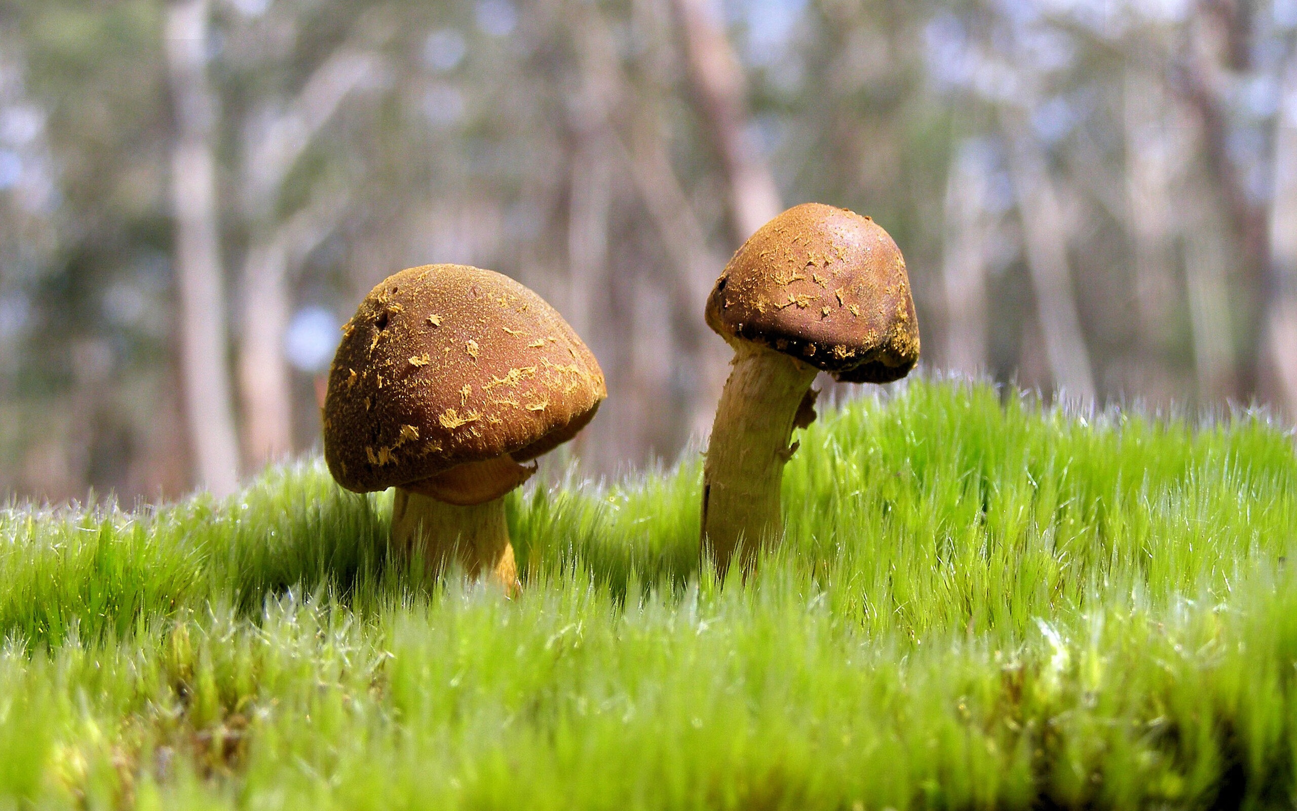 当佛罗伦萨的钟声遇见伊拉克的黄昏,阿什拉夫如何用一脚惊艳时光