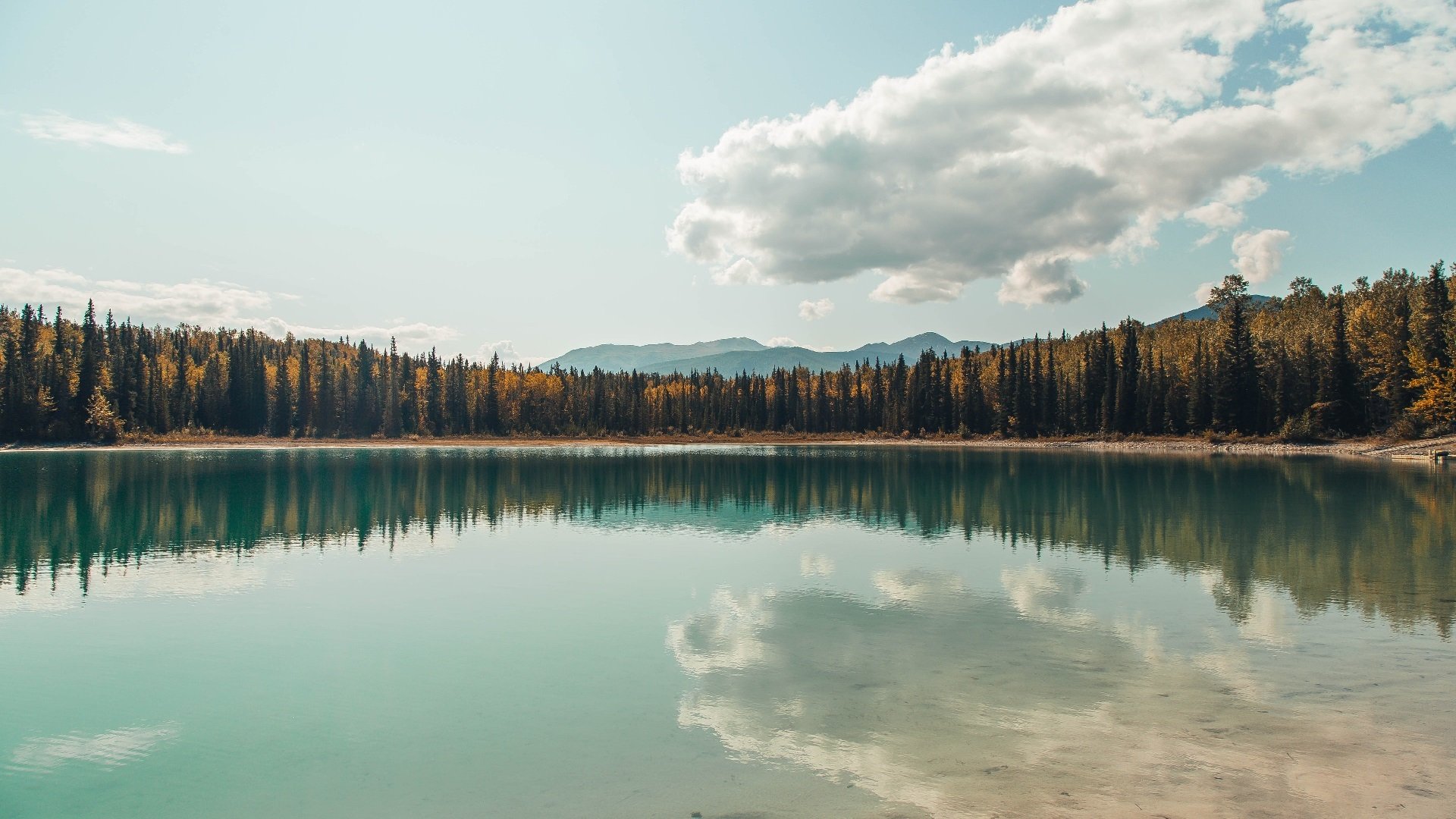 一己之节,本泽马的抢七之夜,与球场上唯一的指挥家