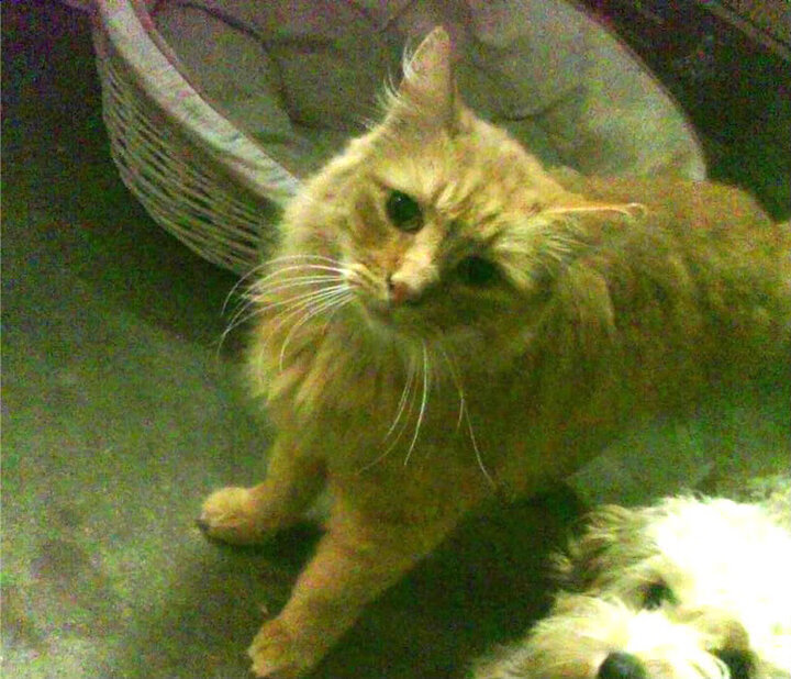 铁壁封锁王座，小贾伦·杰克逊如何成为雄鹿的终极解锁者