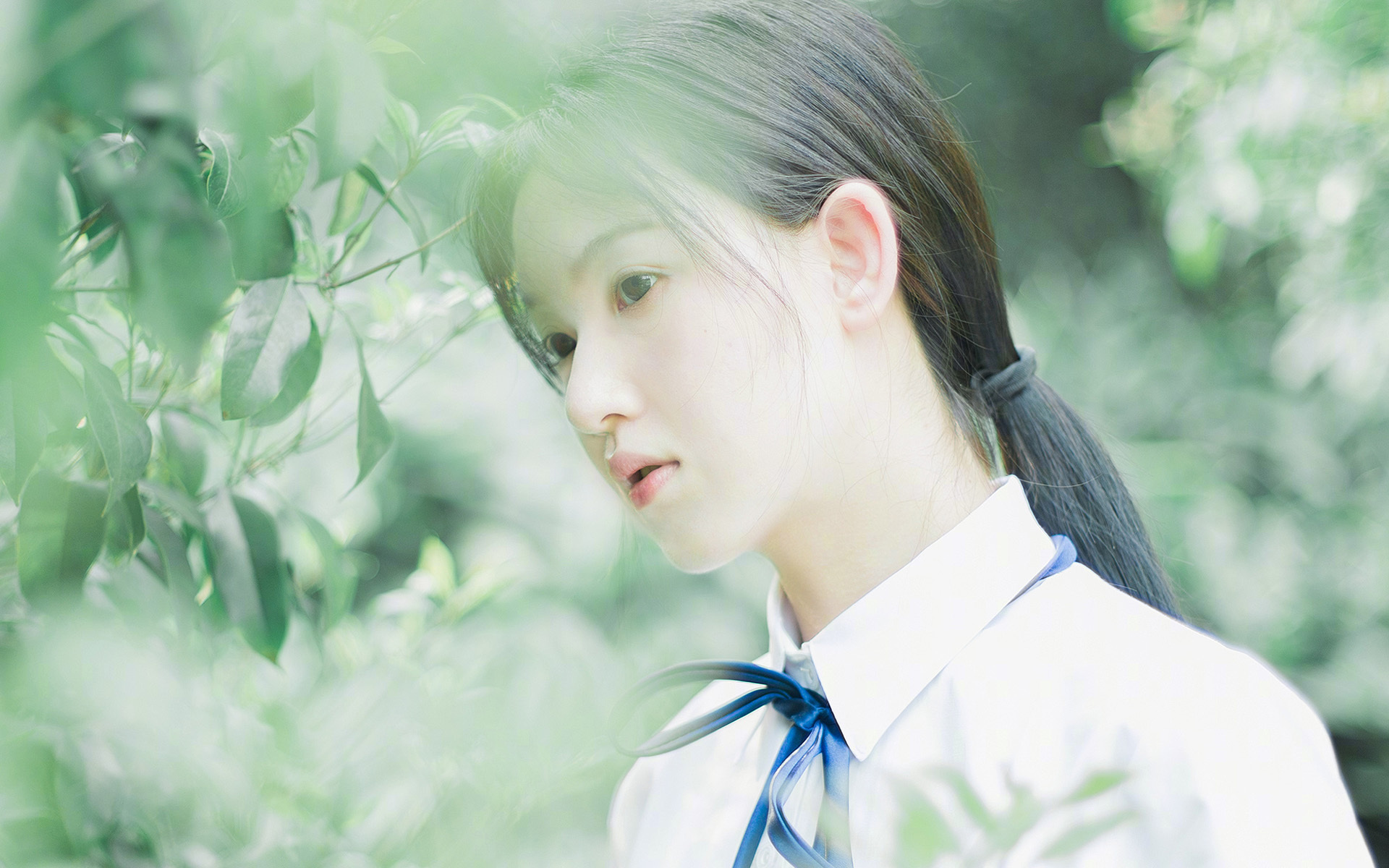 后卫线上演不眠之夜,当福克斯的利爪撕破达拉斯防线