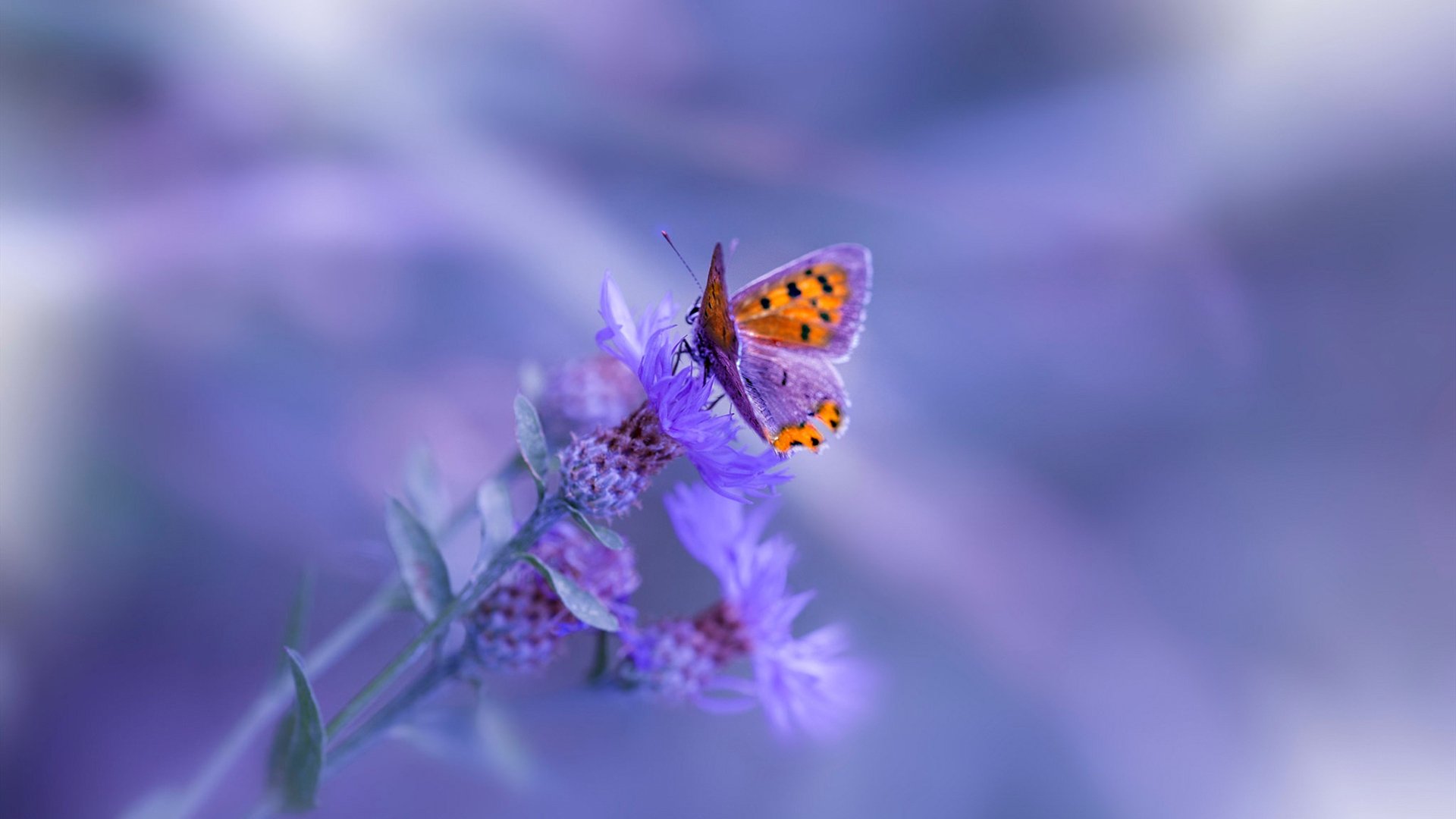 卡马文加的加速器效应，美国队的最后时刻是如何扼杀比利亚雷亚尔的悬念