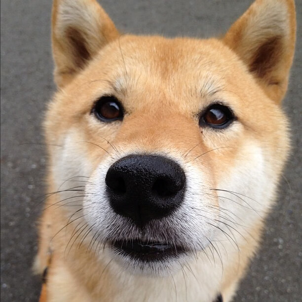 关键先生与季后赛门槛,保罗的末节15分如何杀死步行者?