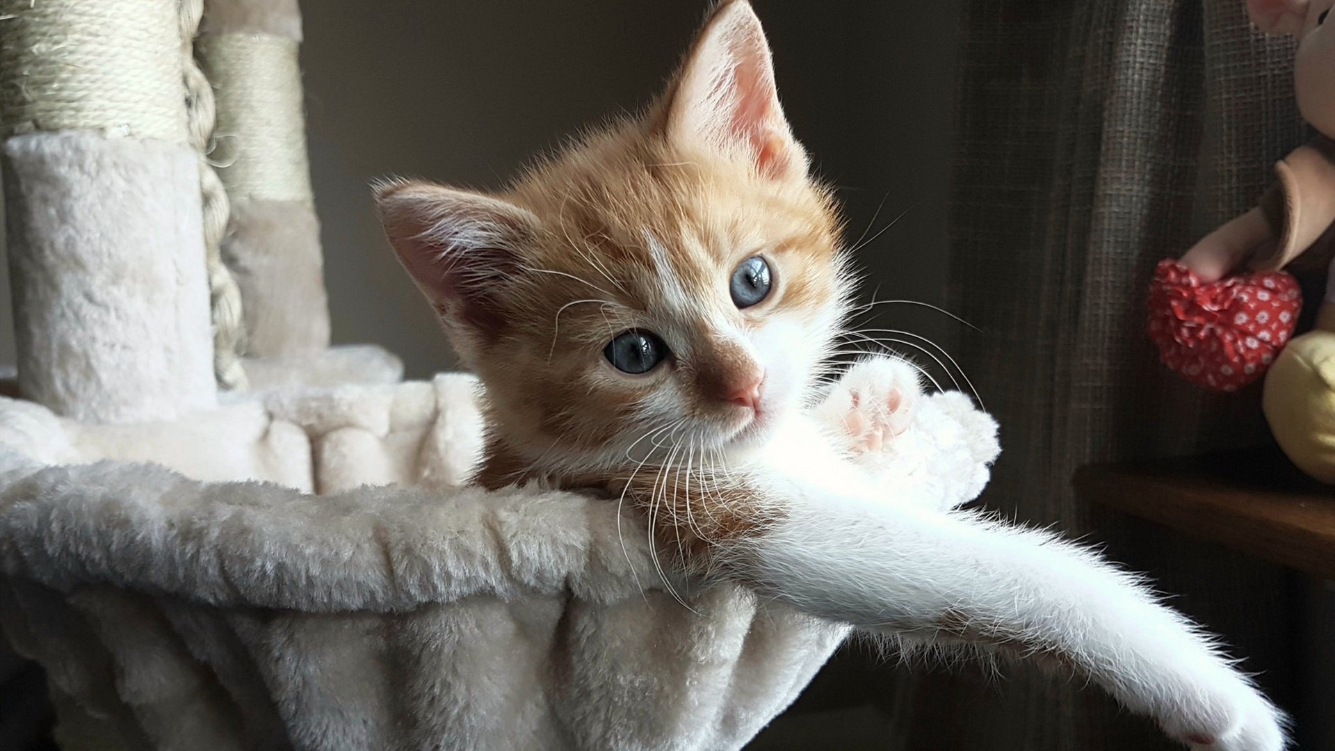 烈焰与顽石，足球的双重启示