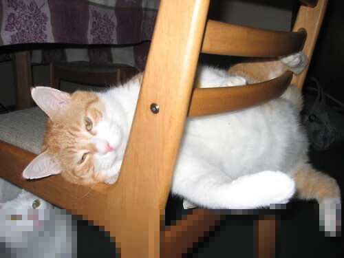 英雄与罪人，若日尼奥背叛意大利后的自我救赎终场哨响前35秒，若日尼奥的绝命点球与跨越洲际的救赎