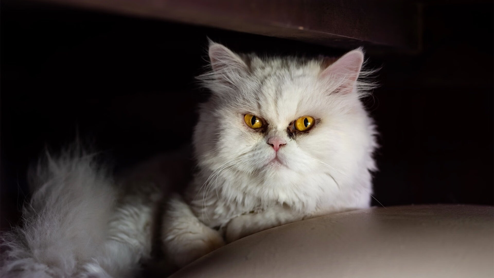 风暴吞噬巨人，杜兰特手术刀般的精准如何让黄蜂逆袭老鹰