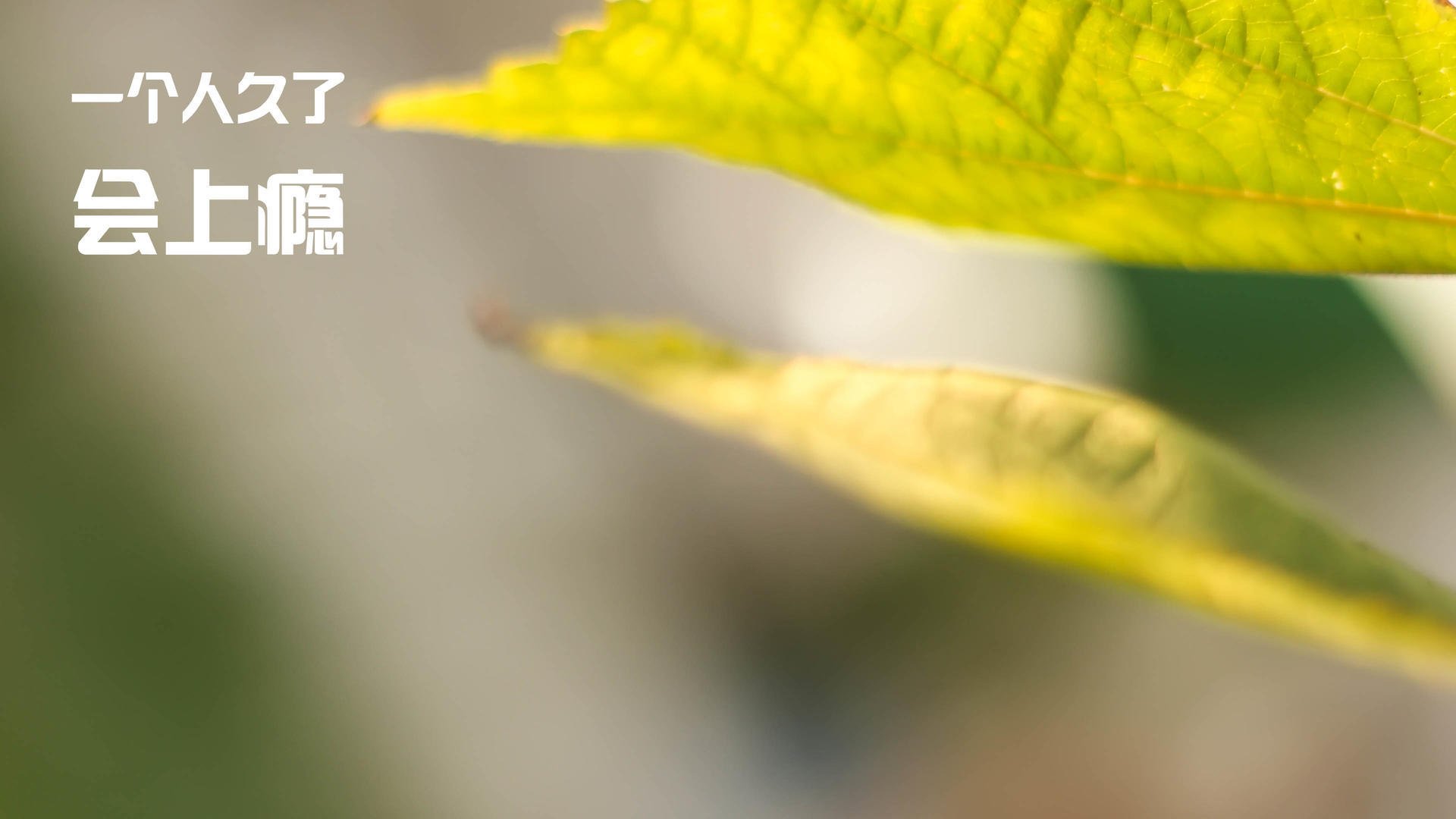 滑铁卢式的胜利，当奥纳纳用现代钢铁意志碾过葡萄牙的昔日荣光