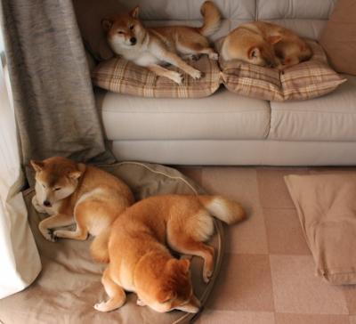 唯一性的胜利，广东队决胜局擒老鹰，布克在NBA季后赛接管比赛