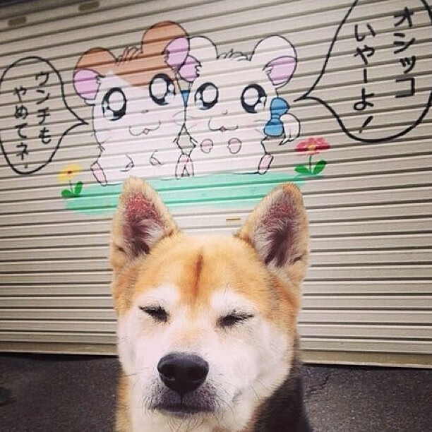 绿茵篮火，深圳队跨时空绝杀记