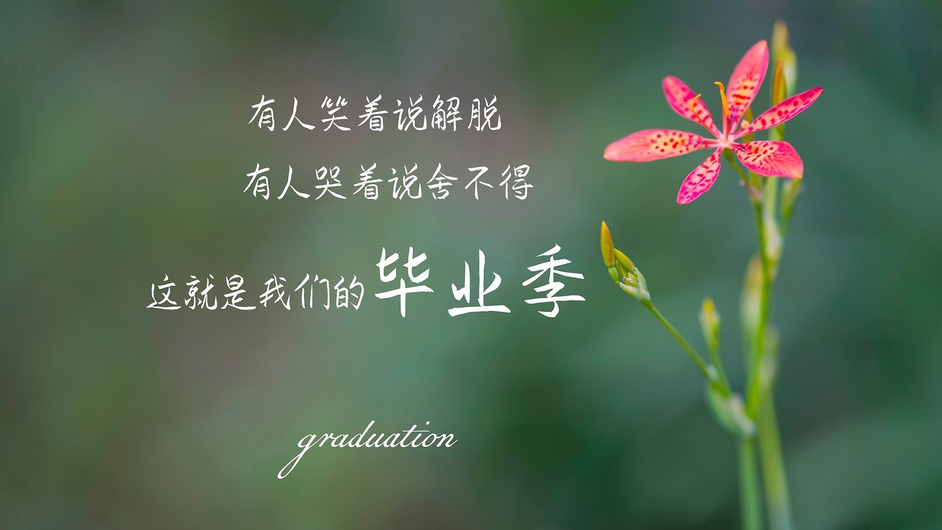 冷锋过境,当客场成为切特·霍姆格伦的决策温床,马刺在冰城无声破茧