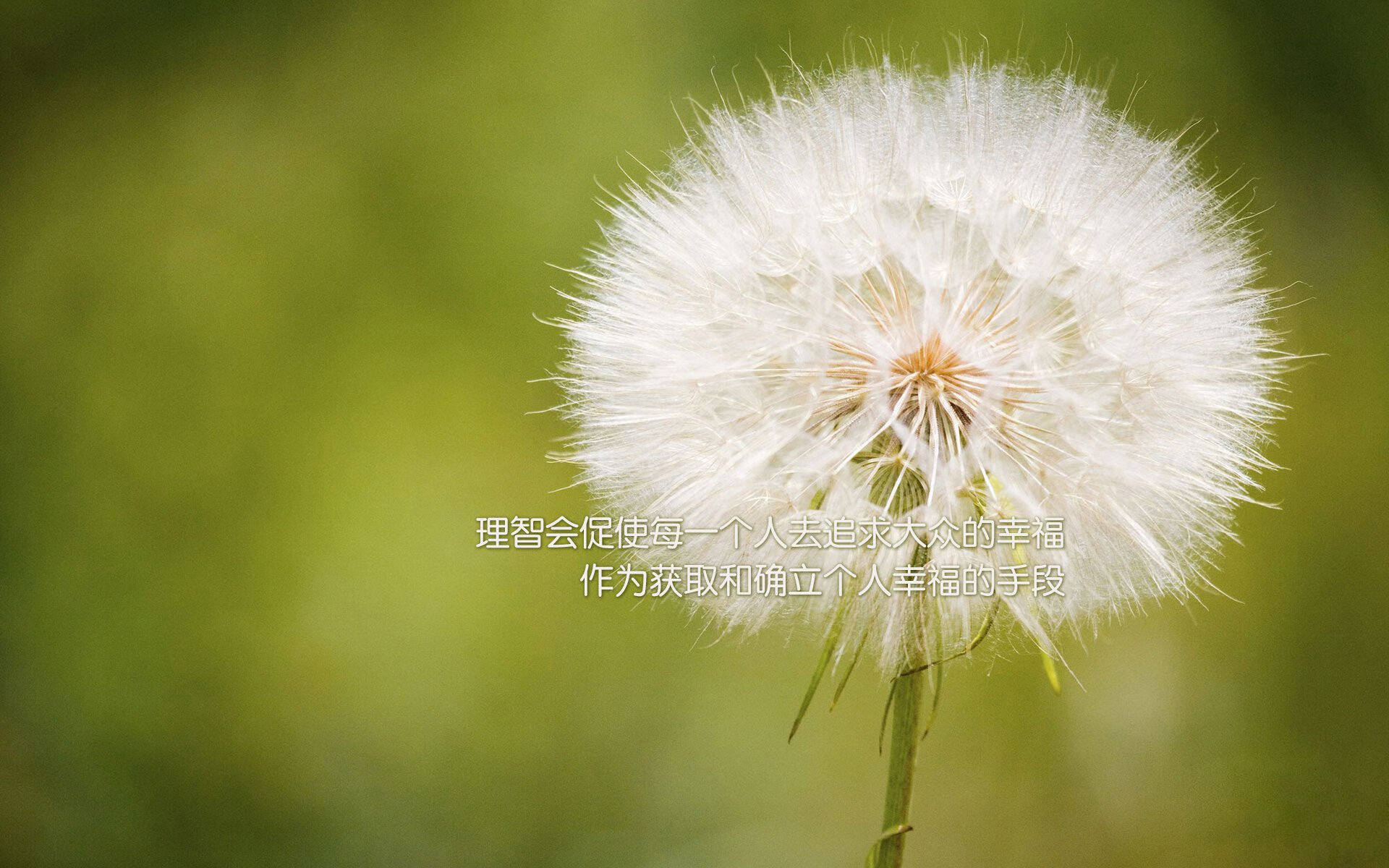 2026世界杯G组生死战，贝林厄姆导演绝杀大戏，西班牙门神力挽狂澜，波兰饮恨而归
