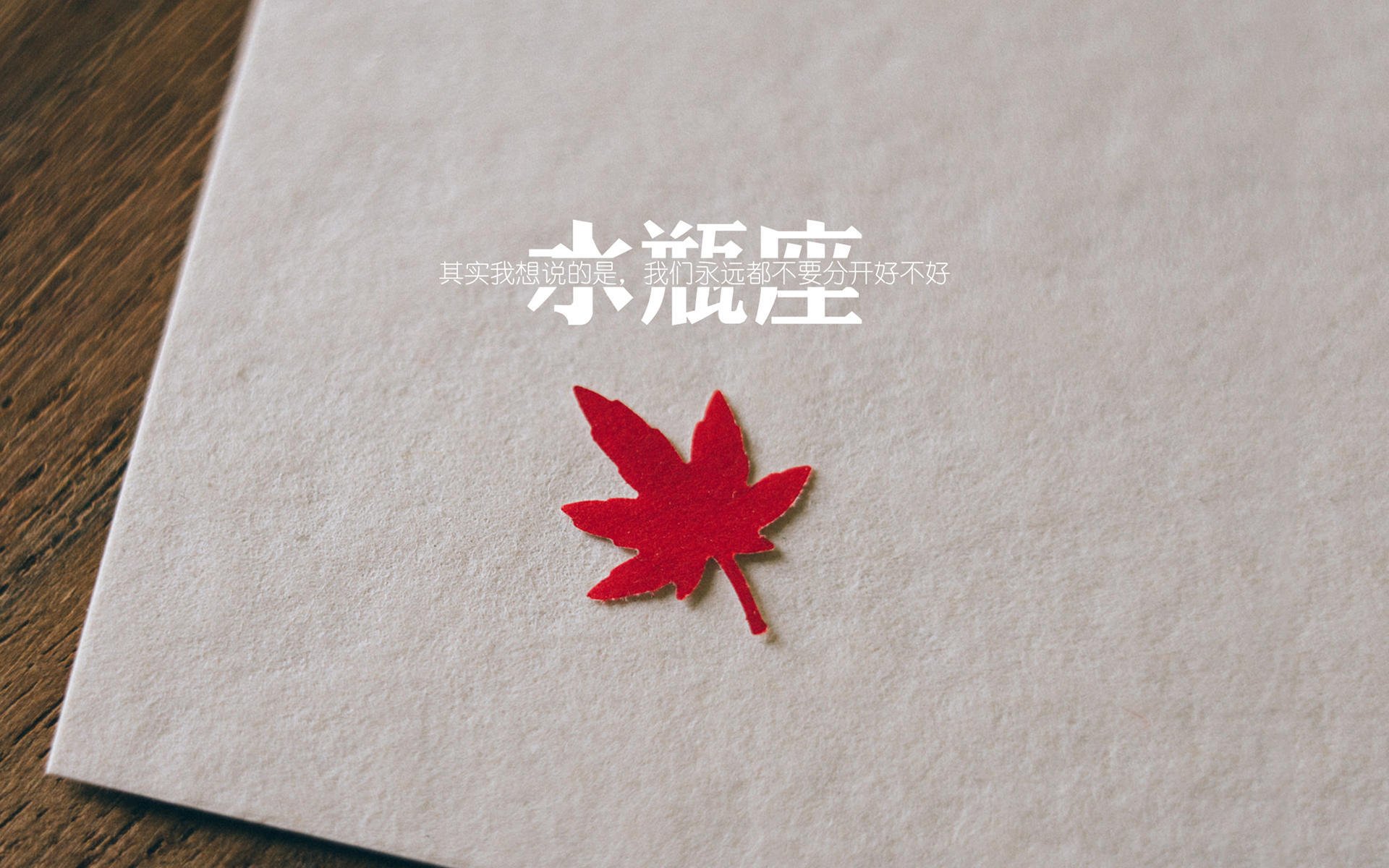 历史轮回的绝唱,2026世界杯,贝林厄姆王者归来,斯洛伐克再演冷门神话击碎哥斯达黎加